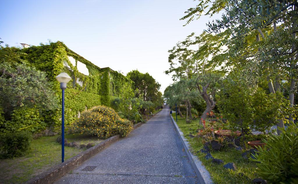Hotel Terme Alexander Ischia Exterior foto