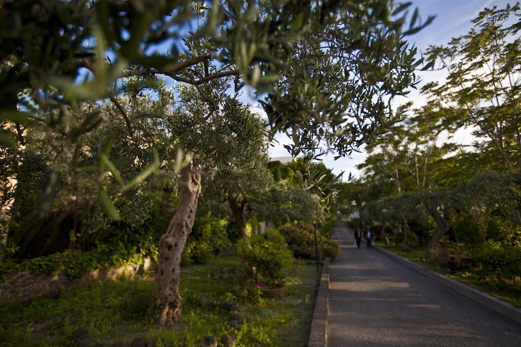 Hotel Terme Alexander Ischia Exterior foto